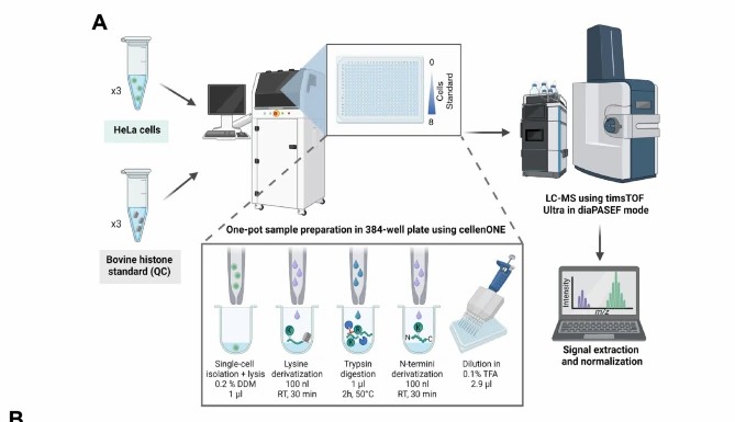 Single-cell histone PTM profiling by LC-MS/MS