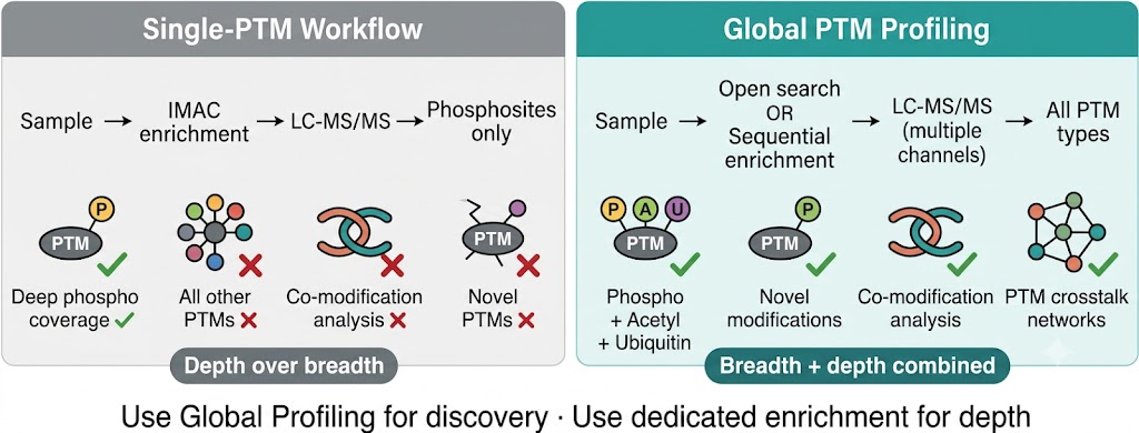 Global PTM profiling vs single-PTM targeted profiling — comparison of modification coverage, enrichment strategy, and use cases for unbiased proteome-wide PTM discovery