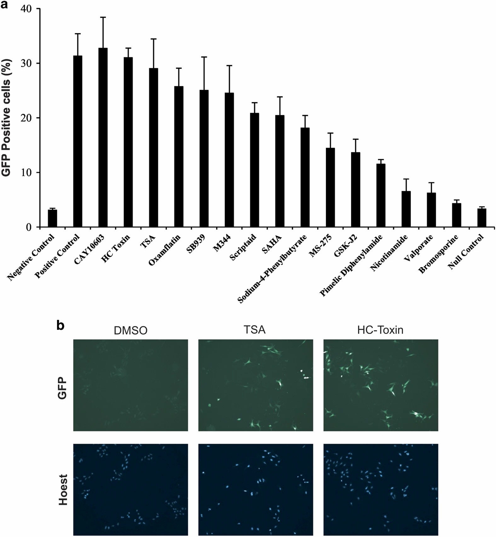Key results from Partolina et al. 2017 (Cell Death Discovery): epigenetic reverse phase protein array (eRPPA) platform workflow for global histone modification fingerprinting, quantification of multiple histone acetylation and methylation marks from HCT116 cancer cells, dose-dependent effects of HDAC inhibitors (HC toxin, TSA, CAY10603) on histone acetylation at specific residues, and ALCAR-mediated potentiation of HDAC inhibitor effects on histone acetylation.