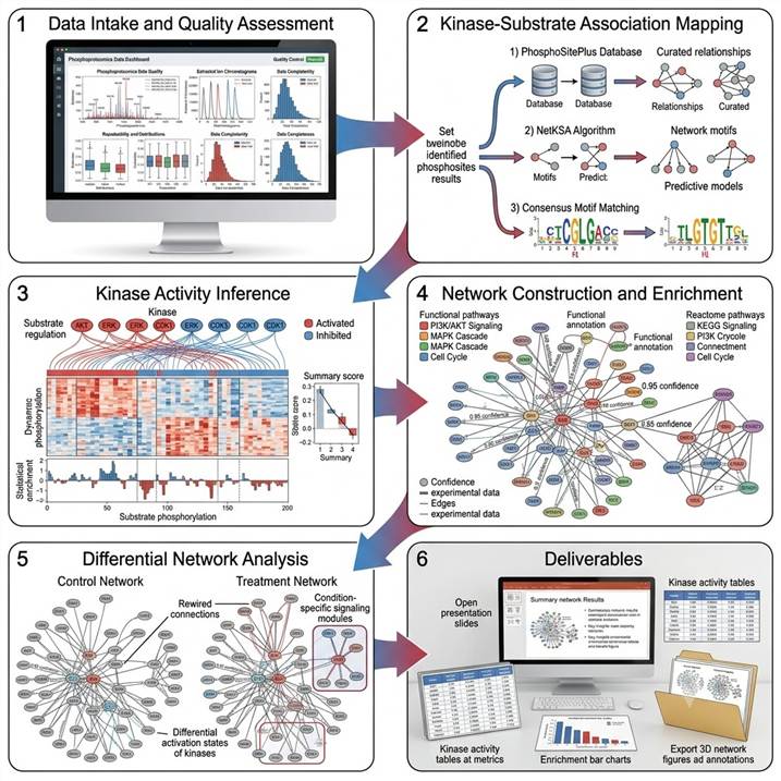 Six-step workflow diagram showing the Kinase-Substrate Network Analysis pipeline from data intake and quality assessment through kinase-substrate mapping, kinase activity inference, network construction, differential analysis, and final publication-ready deliverables.