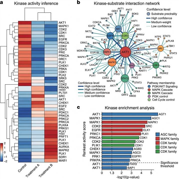 Representative kinase-substrate network analysis results: kinase activity heatmap across conditions, kinase-substrate interaction network graph with node coloring by pathway membership and edge thickness by prediction confidence, and enrichment analysis bar chart showing top kinase activities and associated biological processes.