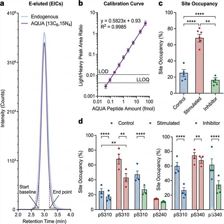 Key results from Chen et al. 2020: Validation of DM+deP phosphorylation stoichiometry measurements against AQUA-SRM absolute quantification for α-S1-casein Ser130 phosphorylation, showing close agreement between the two methods.