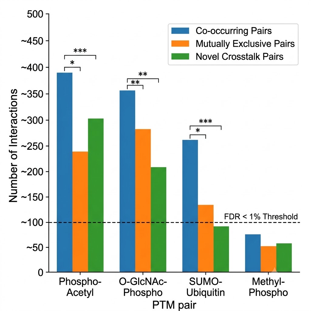 Grouped bar chart comparing crosstalk detection metrics across PTM type combinations: phospho-acetyl, O-GlcNAc-phospho, SUMO-ubiquitin, methyl-phospho, with bars for co-occurring pairs, mutually exclusive pairs, and novel crosstalk pairs, significance asterisks and FDR threshold line