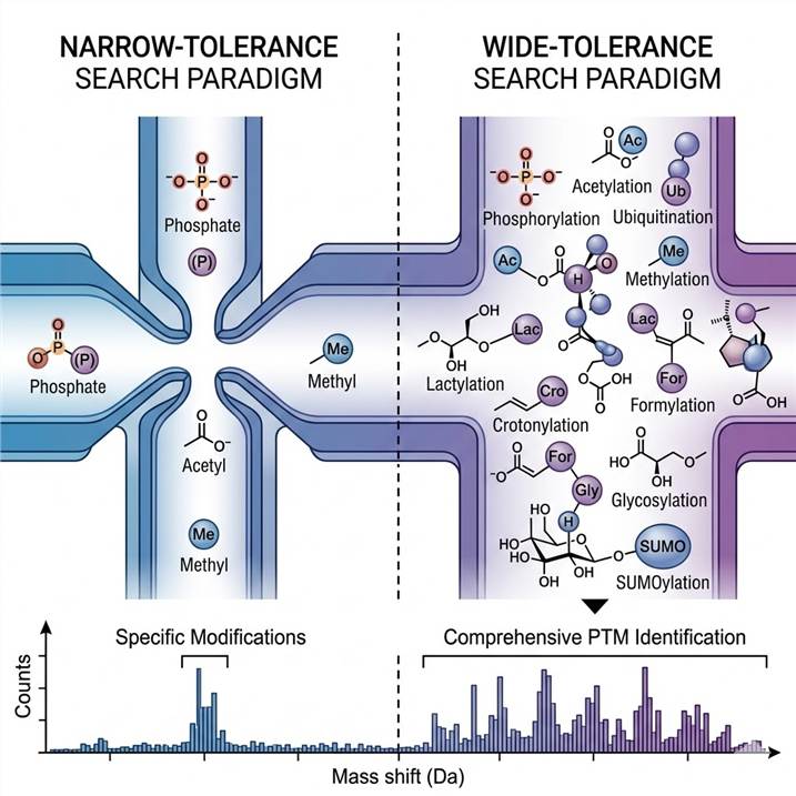 Scientific infographic illustrating unbiased open-search PTM discovery workflow, from wide-tolerance mass spectrometry acquisition to mass shift histogram and modification identification across diverse PTM classes.