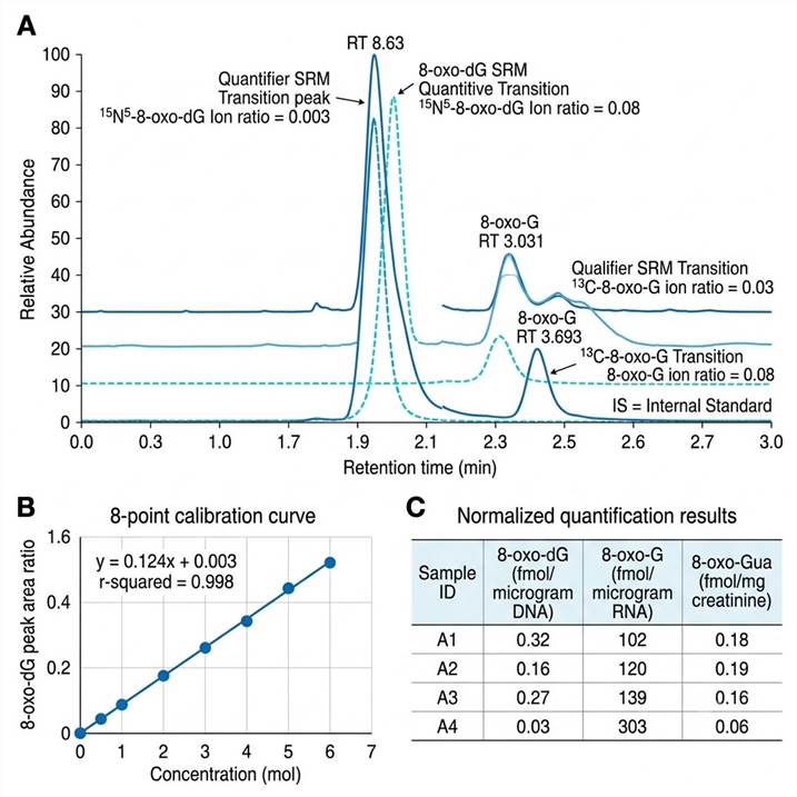 Overlaid SRM chromatograms showing 8-oxo-dG and 8-oxo-G peaks with isotope-labeled internal standards, 8-point calibration curve inset, and normalized concentration table.
