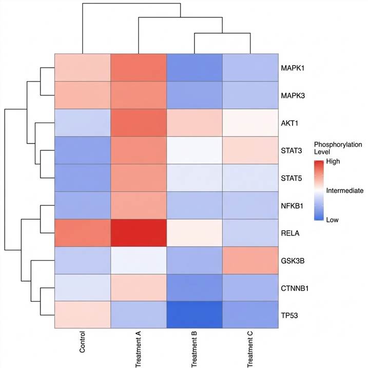 Heatmap showing differential phosphorylation profiles across multiple signaling pathways and experimental conditions.