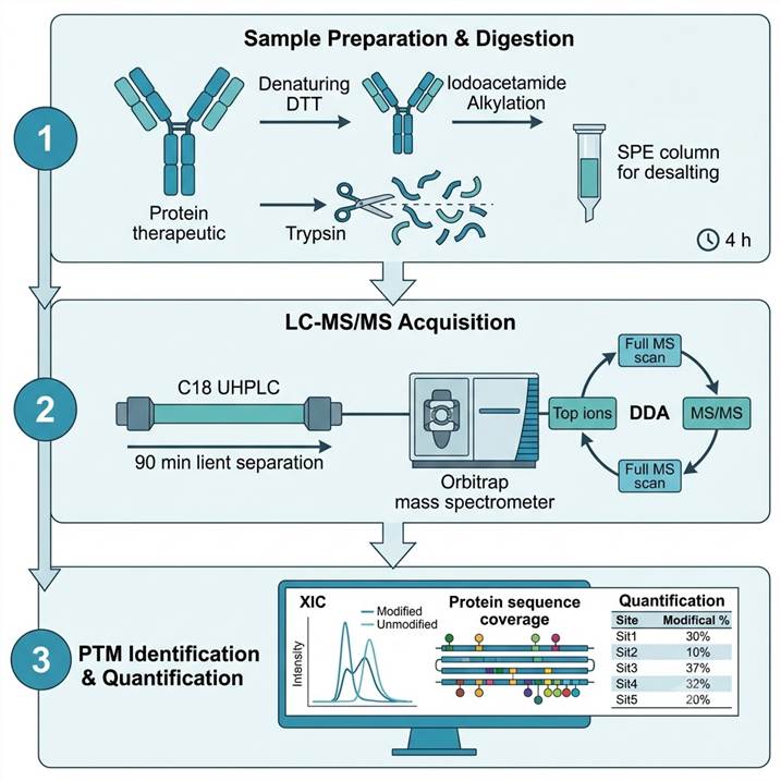 Vertical 3-step workflow diagram showing protein drug sample denaturation and digestion, LC-MS/MS acquisition, and PTM identification with site-level quantification.
