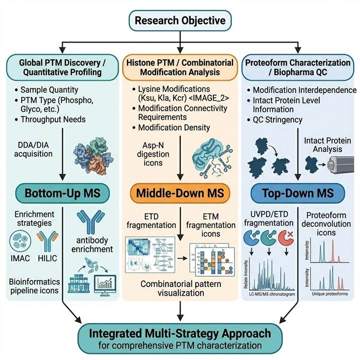 Decision tree diagram for PTM analysis strategy selection: starting from research objective, sample quantity, PTM type, and whether combinatorial information is needed, leading to recommended strategy (bottom-up, middle-down, or top-down MS) with key trade-offs highlighted at each decision point.