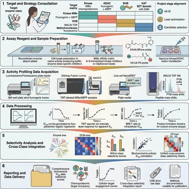 Six-step PTM enzyme activity and inhibitor screening workflow: consultation, sample preparation, data acquisition, quantification, selectivity analysis, and reporting