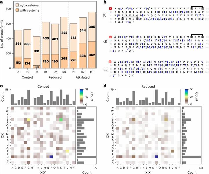 Top-down MS/MS fragment ion map of intact Glutaredoxin-1 proteoform P35754: annotated b-ion and y-ion series across protein backbone, disulfide bond connectivity mapped, carbamidomethylated cysteine residues localized, >60% sequence coverage
