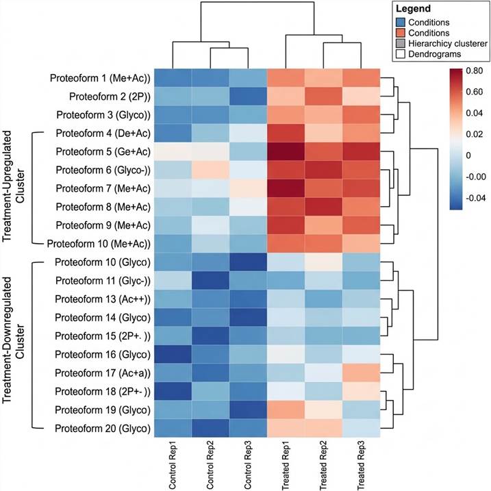 Hierarchical clustering heatmap: 20 proteoform rows by 6 condition columns Control Rep1-3 and Treated Rep1-3, blue-through-red abundance gradient, row and column dendrograms, bracketed Treatment-Upregulated and Treatment-Downregulated proteoform clusters