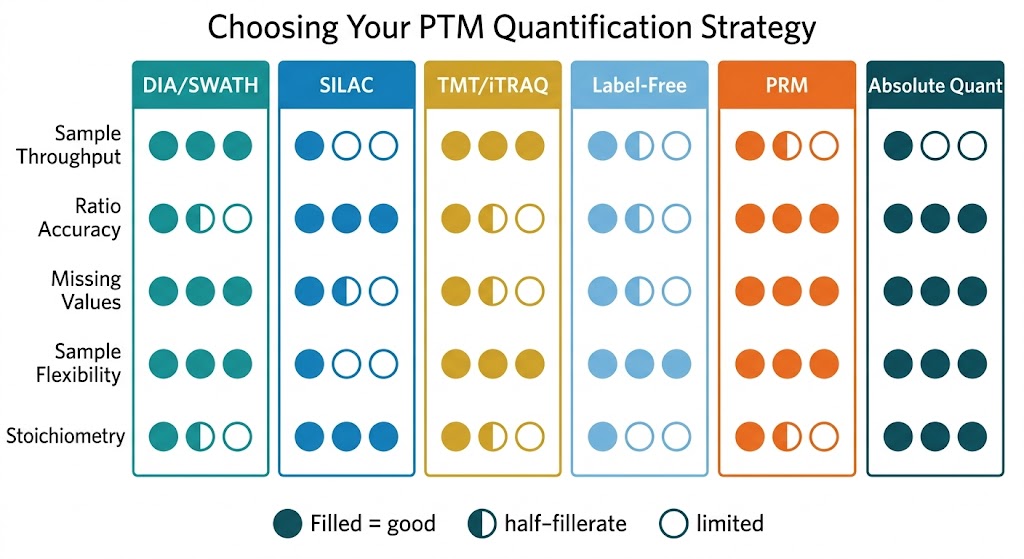 PTM quantification strategy comparison table — DIA vs SILAC vs TMT vs label-free vs PRM vs absolute quantification performance characteristics for PTM proteomics