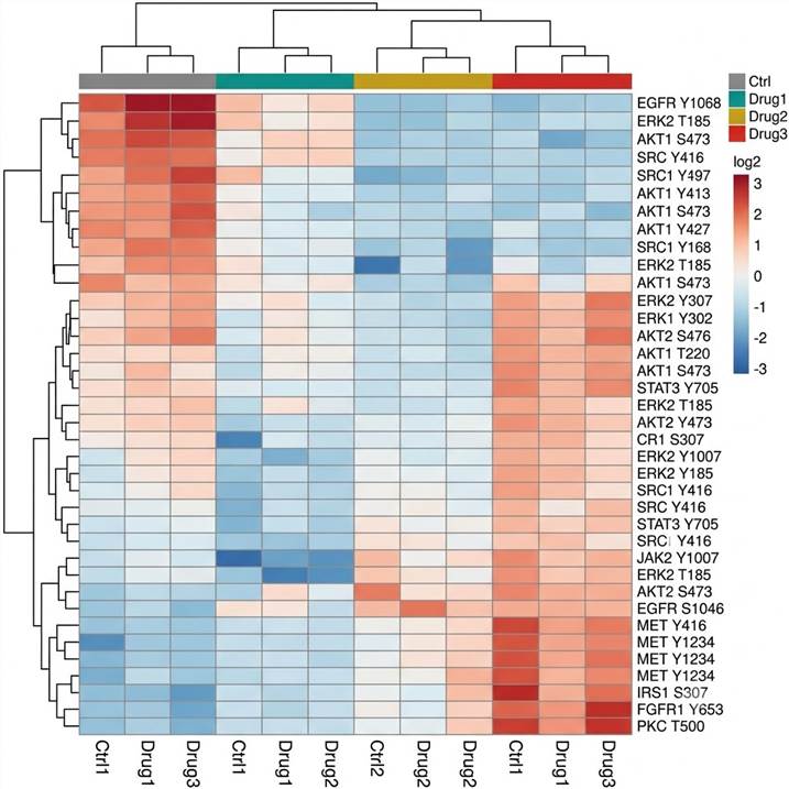 TMT phosphoproteomics heatmap — hierarchical clustering of regulated phosphosites across six treatment conditions and time points, quantitative site-level data