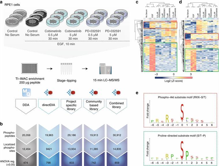 DIA phosphoproteomics kinase inhibitor screen — 30 kinase inhibitors EGF signaling phosphosite quantification stoichiometry Bekker-Jensen 2020 Nature Communications case study figure