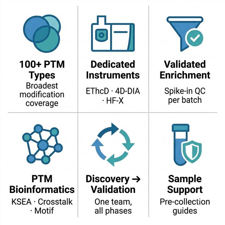 Why choose Creative Proteomics — 100+ PTM types, dedicated instrumentation, validated enrichment chemistry, full bioinformatics pipeline, discovery-to-validation, and sample collection support