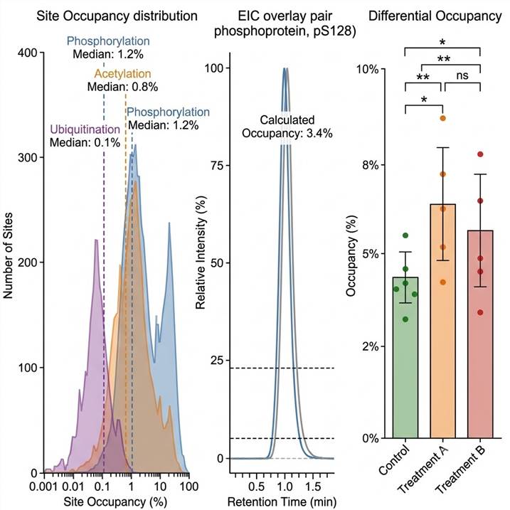 Representative site occupancy analysis results: site occupancy distribution histogram across modification sites, extracted ion chromatograms for modified and unmodified peptide pairs, and differential occupancy bar chart comparing stoichiometry across experimental conditions with individual replicate values.