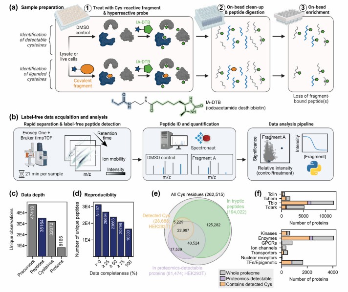 Key results from Biggs et al. 2024 (bioRxiv): label-free DIA chemoproteomics workflow for cysteine-reactive fragment screening, cysteine site coverage statistics, fragment engagement profiles, and selectivity heat maps showing structure-activity relationships across 80 cysteine-reactive fragments.