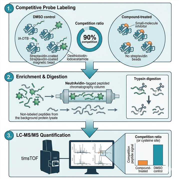 Vertical 3-step workflow diagram showing competitive ABPP probe labeling, desthiobiotin enrichment and trypsin digestion, and LC-MS/MS acquisition with competition ratio quantification.