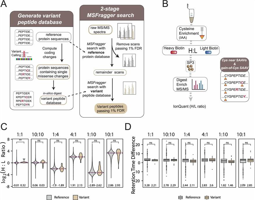 Key results from Desai et al. 2024 (Nature Communications): experimental design showing chemoproteogenomics platform integrating IAA-alkyne labeling, LC-MS/MS, and whole exome/RNA-seq; identification of over 1,400 variant peptides and 677 variant-proximal cysteines; enrichment of gain-of-cysteine variants in dMMR contexts; functional validation showing altered protein function and small molecule reactivity at gain-of-cysteine sites.