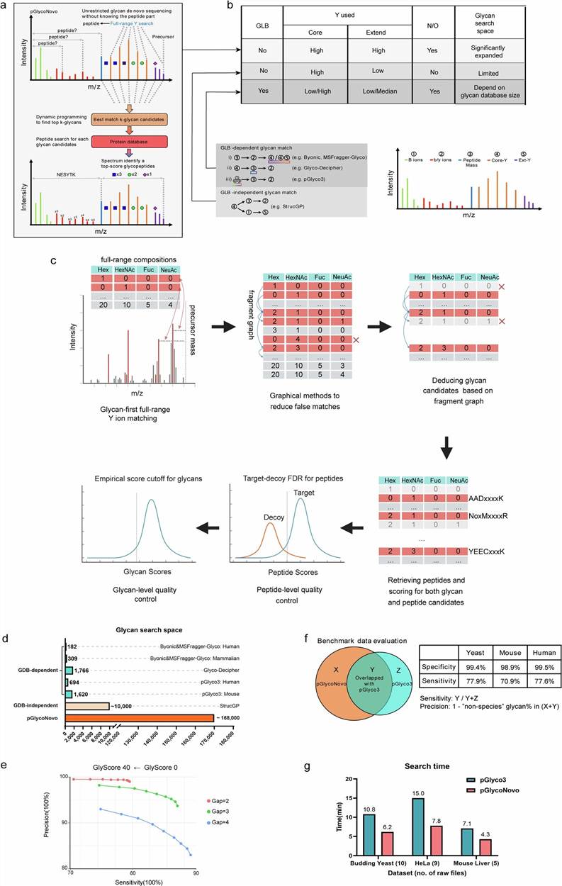 Key results from Zeng et al. 2024 (Nature Communications): pGlycoNovo workflow showing the glycan-first full-range Y-ion dynamic searching strategy, performance comparison with six other glycoproteomics engines, and the multi-species site-specific glycosylation analysis results across five evolutionarily distant species.