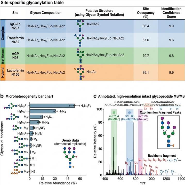 Representative site-specific glycosylation analysis results: glycosylation site mapping table with glycan structure assignments and occupancy percentages, microheterogeneity bar chart showing glycoform distribution at individual sites with relative abundance, and annotated MS/MS spectrum illustrating glycopeptide identification with oxonium ions and peptide backbone fragmentation.
