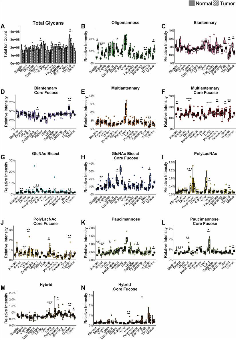 Key results from Wallace et al. 2024 (Scientific Reports): (Figure 1) N-glycan relative abundance across 15 human tissue types showing 7 structural classes (oligomannose, biantennary, multiantennary, bisecting GlcNAc, polylactosamine, paucimannose, hybrid) separated by core fucosylation status, comparing normal and tumor tissues. (Figure 2) Top 25 most abundant N-glycans detected in each of the 15 tissue types. (Figure 3) Full tissue MALDI imaging showing histopathological distribution of the two most abundant N-glycans (m/z 1809.64, Hex5dHex1HexNAc4; m/z 1663.58, Hex5HexNAc4) with respect to tissue structure and cancer location. (Figure 4) Representative N-glycan most altered in each cancer type with tissue distribution maps. (Figure 5) Core fucosylation analysis by EndoF3 cleavage: schematic, distribution, and normal vs. cancer comparison. (Figure 6) Sialic acid linkage analysis by AAXL stabilization: α2,3 vs. α2,6 differentiation across tissue types and cancer-specific linkage alterations.