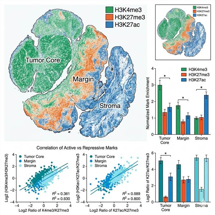 Multi-color spatial map showing differential distribution of H3K4me3, H3K27me3, and H3K27ac marks across tumor core, margin, and stromal regions.
