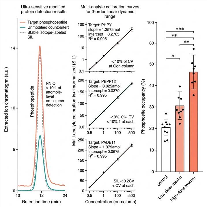 Representative ultra-sensitive modified protein detection results panel: (Left) Extracted ion chromatograms for a phosphorylated peptide and its unmodified counterpart with SIL internal standard overlay, showing attomole-level detection with signal-to-noise ratio >10:1; (Center) Calibration curves for three representative phosphopeptide targets across a 3-order linear dynamic range with SIL internal standard normalization, demonstrating R² >0.995 and <10% CV at each calibration level; (Right) Quantitative bar chart comparing phosphosite occupancy across control, low-dose, and high-dose treatment groups with individual data points, group means, and statistical significance indicators, showing dose-dependent modulation of target phosphorylation.