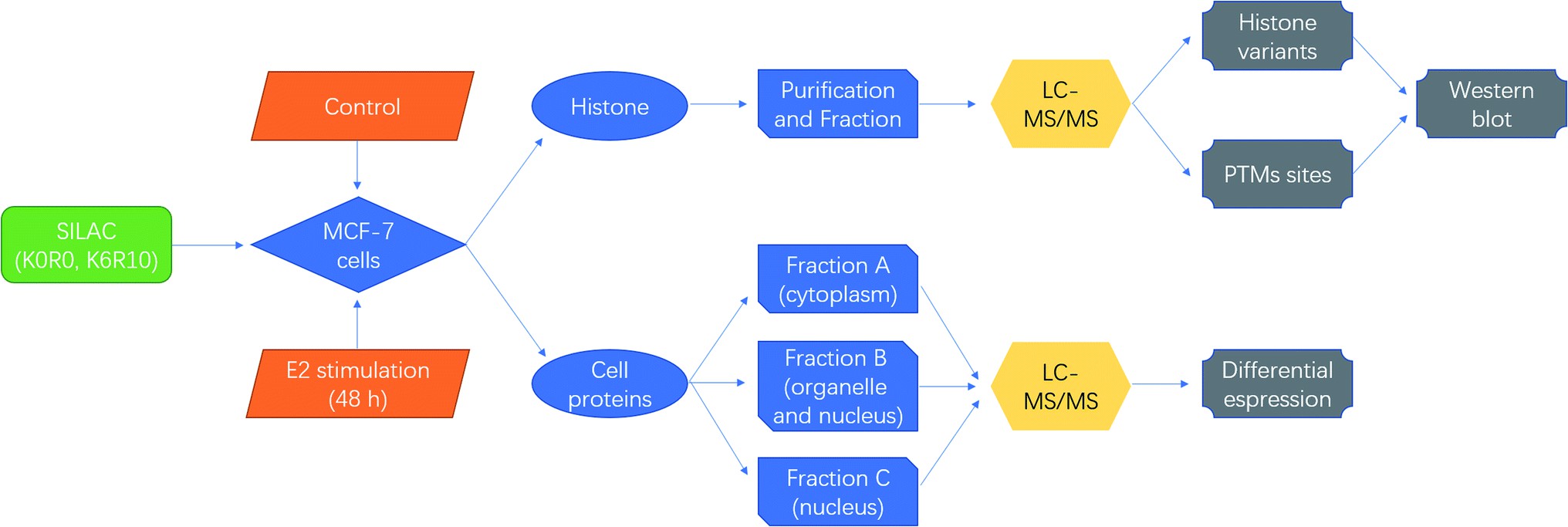 Schematic diagrams for quantitative proteomics of histone modifications.