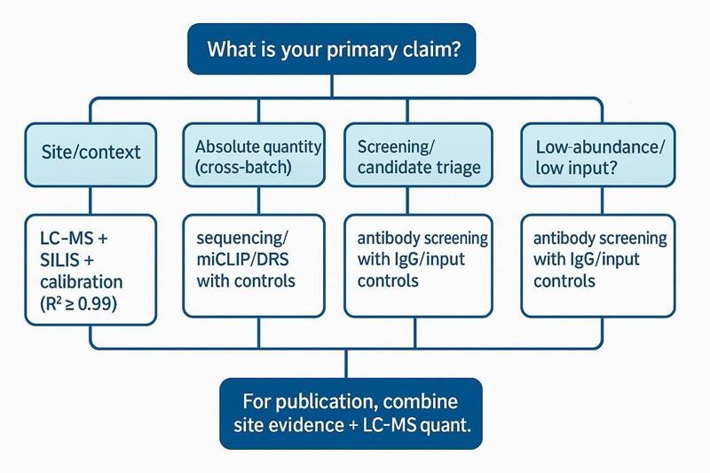 Decision tree infographic to select LC–MS, sequencing, or antibody routes for RNA modification studies with minimal QC per branch.