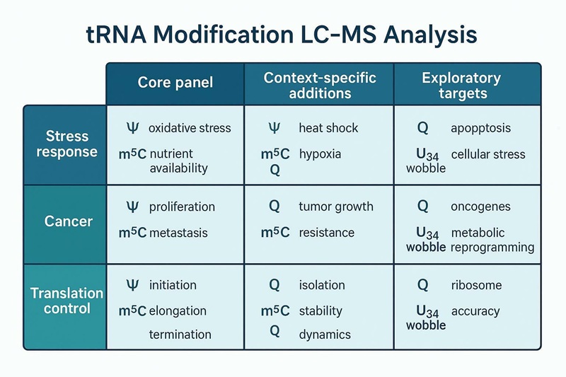 tRNA Modification LC-MS Analysis panel selection matrix for stress response, cancer, and translation control.