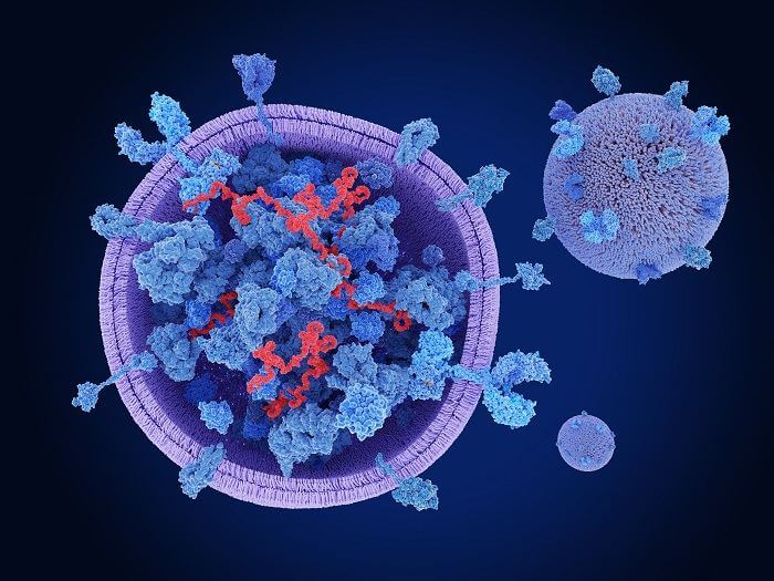 Exosome Analysis Solution