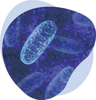 Metabolomics Solution