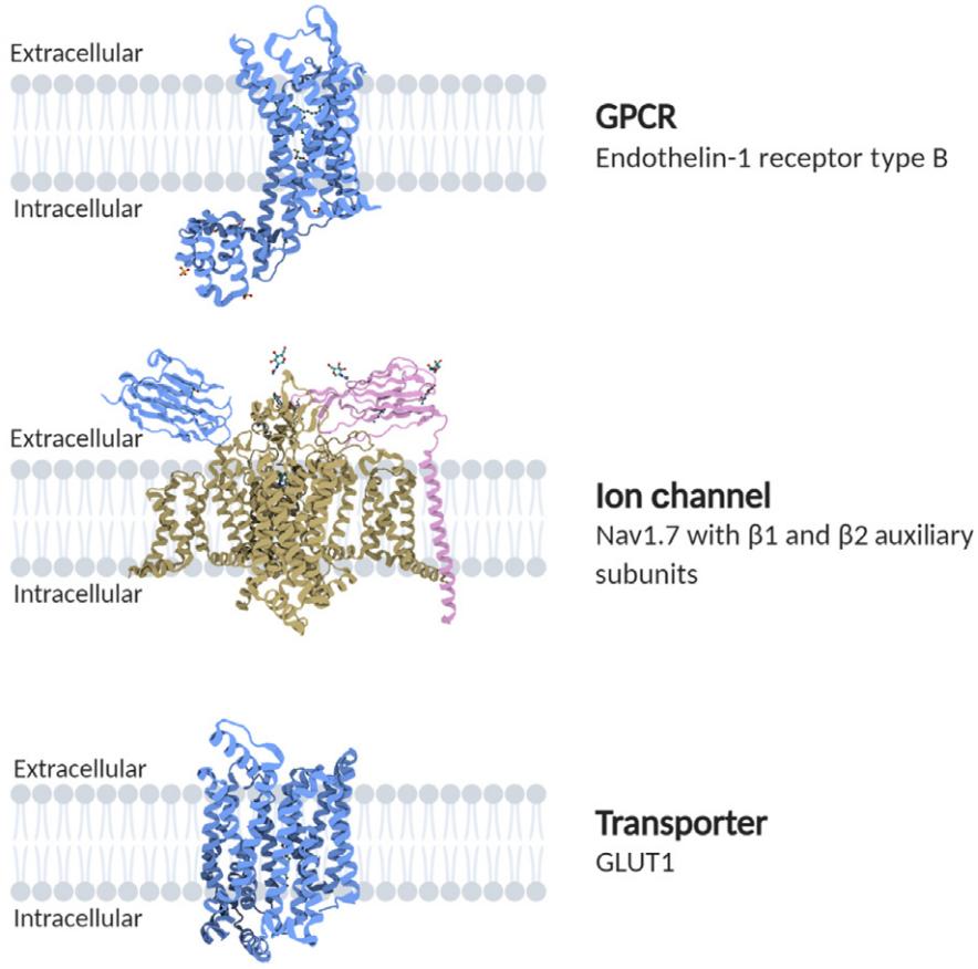 Fig.1 Representative examples of therapeutically-relevant membrane protein structures.