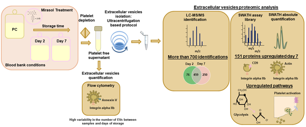 Extracellular Vesicles Proteomics Services