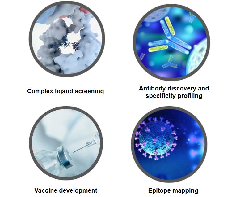 Membrane Protein Microarray Screening Service