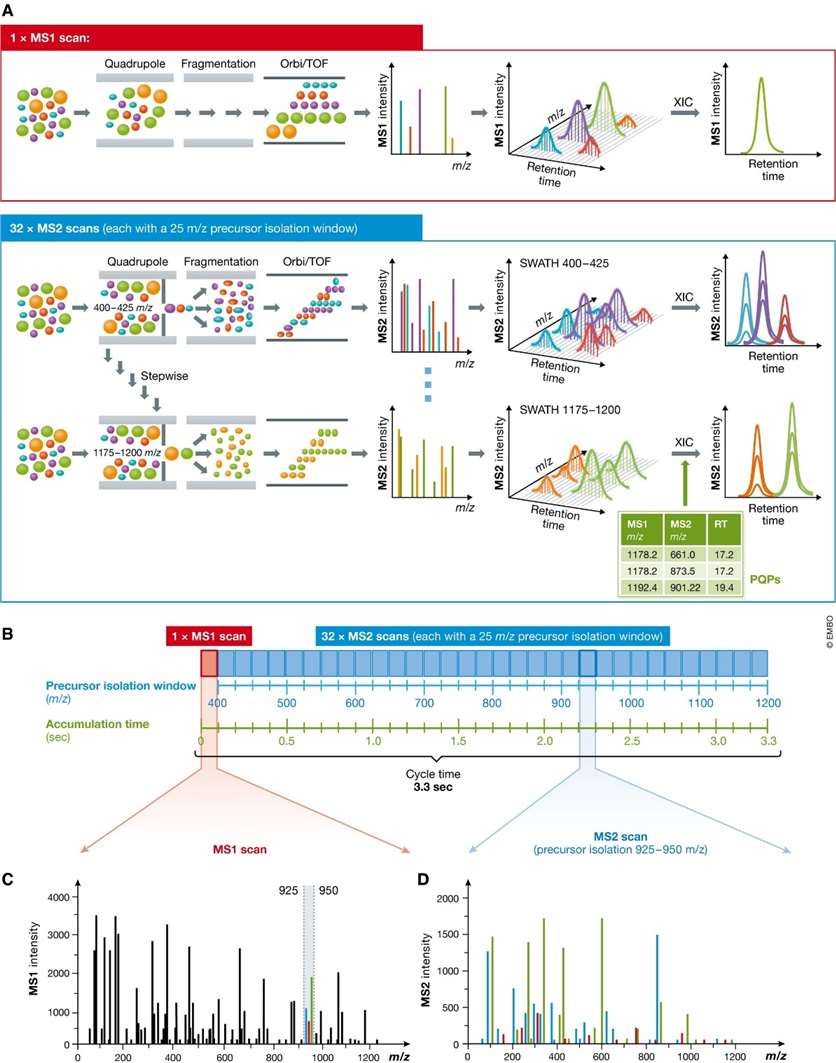 Principle of sequentially windowed data-independent acquisition in SWATH-MS