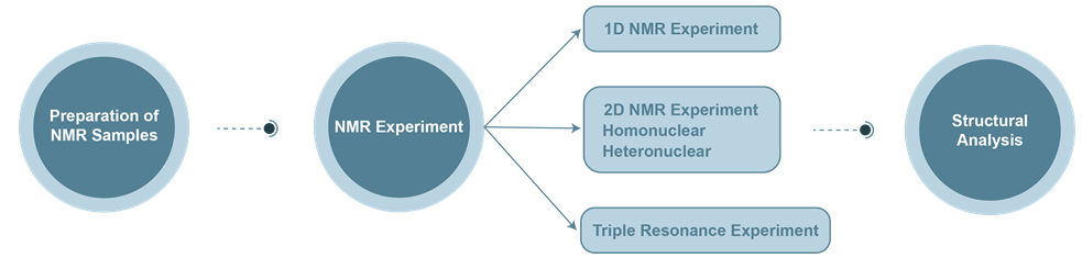 Protein Nuclear Magnetic Resonance (NMR) Service