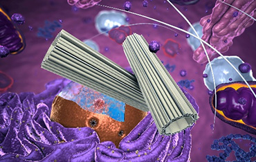 Centrosome Analysis Service