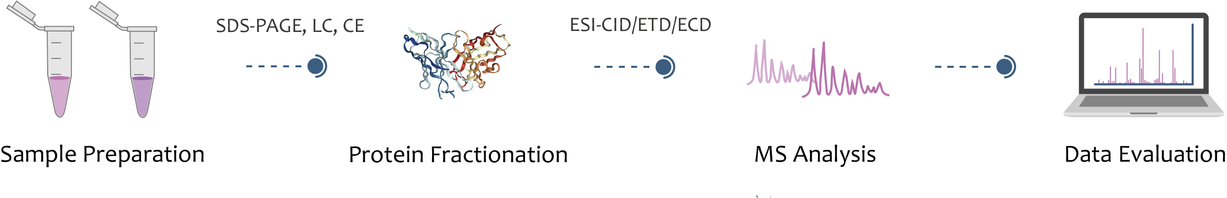 Top-down mass spectrometry principle and workflow