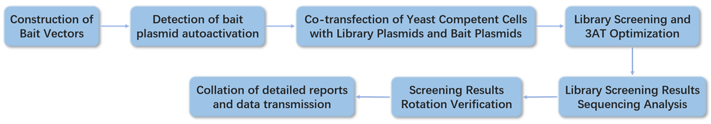 Yeast Two-Hybrid Service