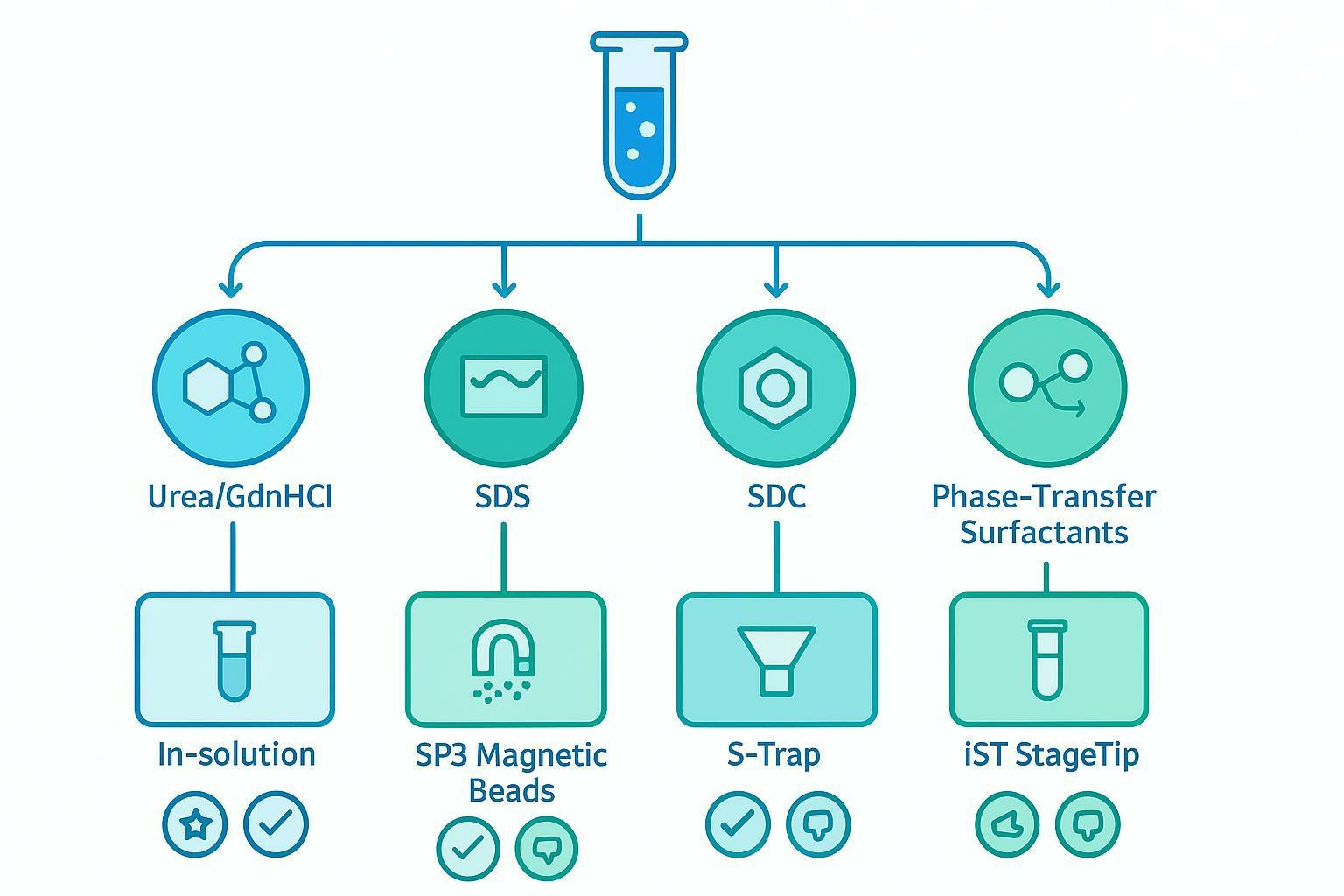 EV Protein Digestion for LC-MS/MS: Lysis Buffer Selection, Trypsin Conditions and Desalting