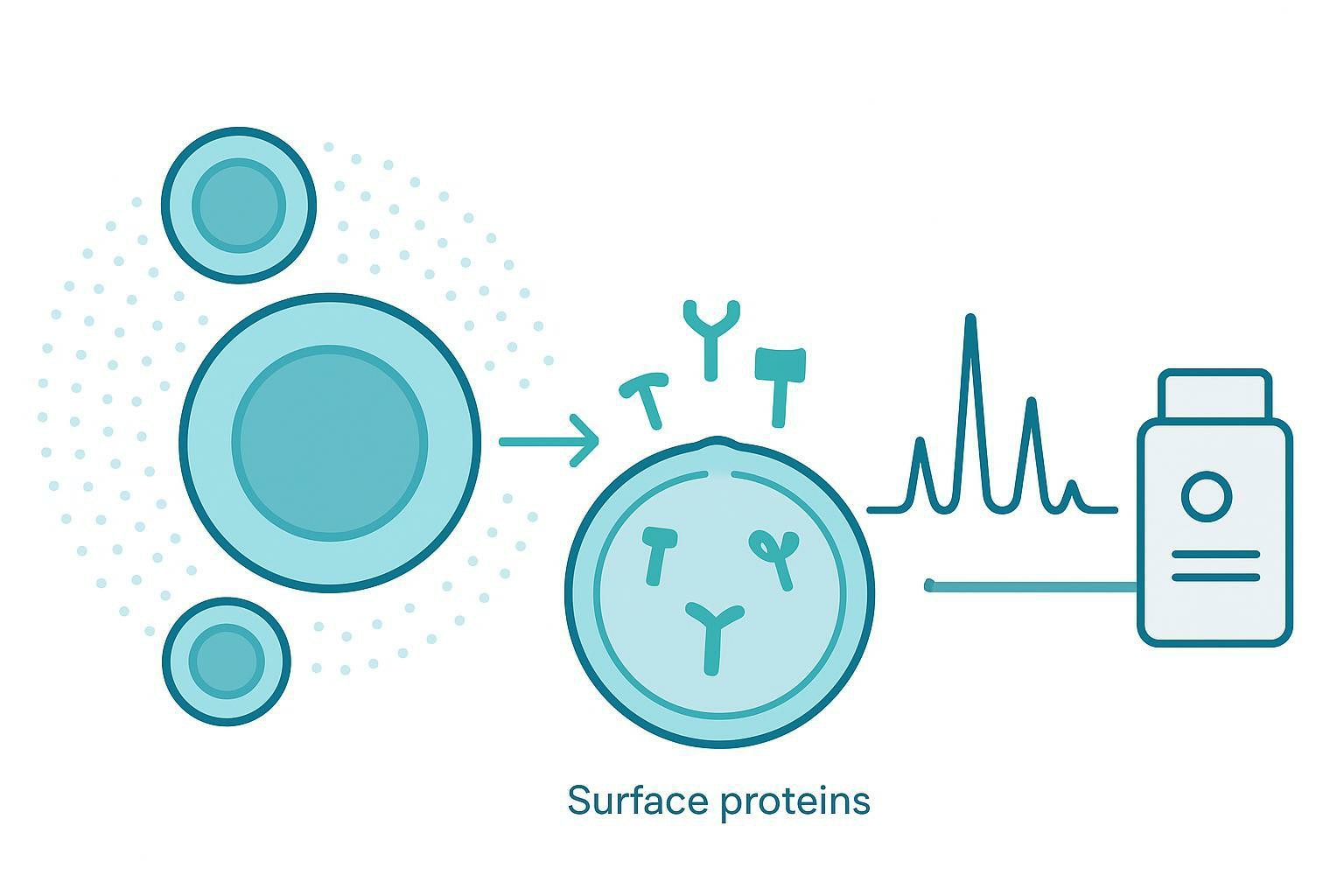 EV Surfaceome Profiling Roadmap: Methods,Experimental Workflow, and Data Annotation