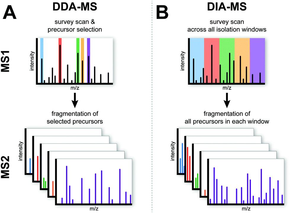 Schematic overview of the DDA-MS and DIA-MS