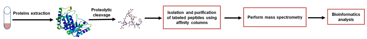 Isotope-Coded Affinity Tag Protein Quantitation Service