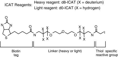 Mass Spectrometry Based Proteomics