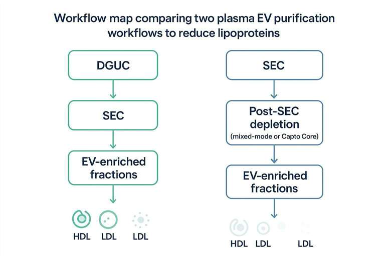 Workflow map comparing DGUC+SEC versus SEC+post-SEC depletion