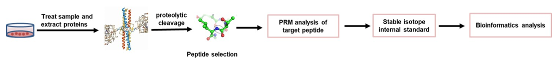 Parallel Reaction Monitoring Protein Quantitation Service