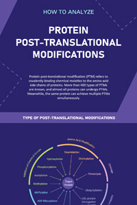 Protein Post-Translational Modification Analysis