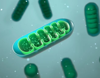 Endoplasmic Reticulum Metabolomics